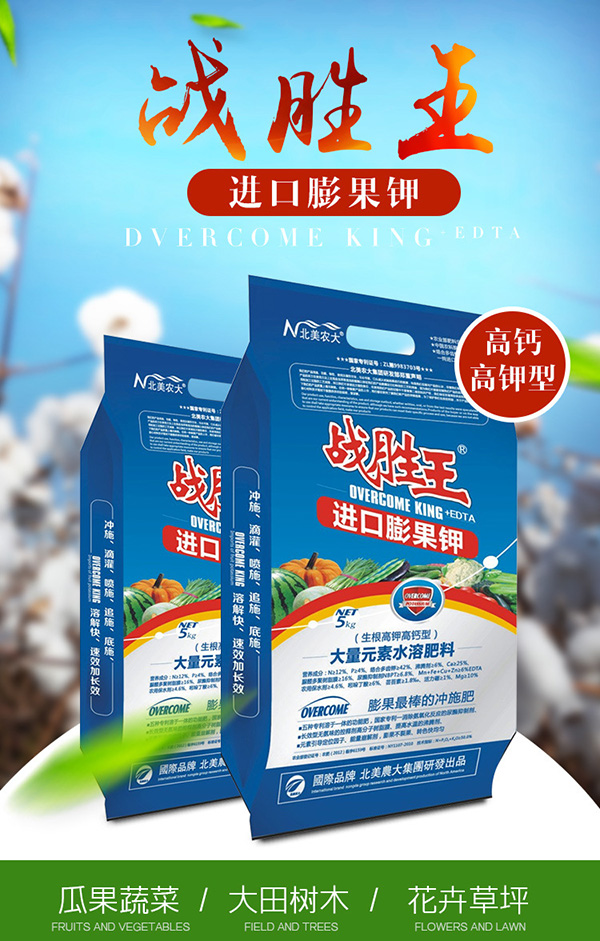 戰(zhàn)勝王高鉀水溶肥促進草莓果實膨大
