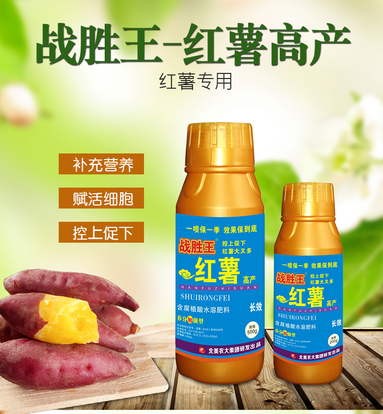 紅薯高產(chǎn)的施肥方法，學(xué)會這幾點就夠了