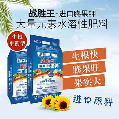 西蘭花應(yīng)該如何施肥？水溶肥怎么施用？