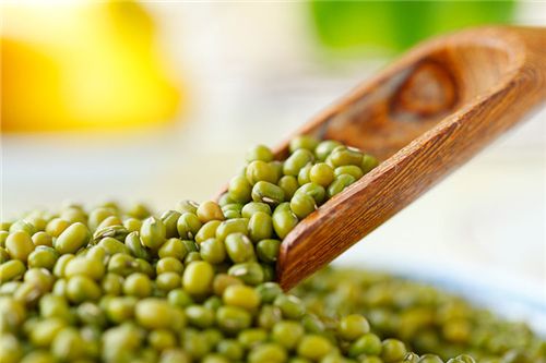 種植綠豆應(yīng)當(dāng)如何施肥？