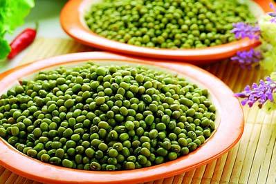 種植綠豆應(yīng)當(dāng)如何施肥？