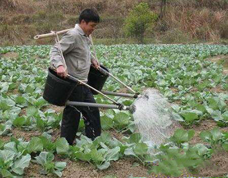 沖施肥是什么？是方法還是肥料的分類？