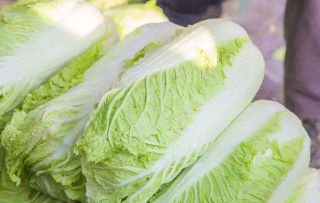 怎么施肥防止白菜不包心？