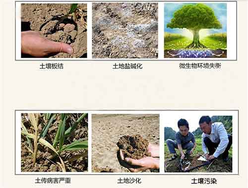 海藻酸、腐殖酸、甲殼素……到底哪個好用？