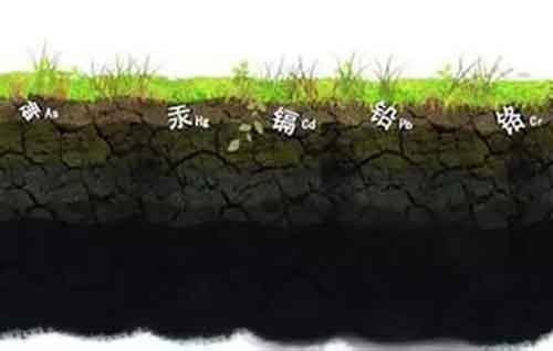 海藻酸、腐殖酸、甲殼素……到底哪個好用？
