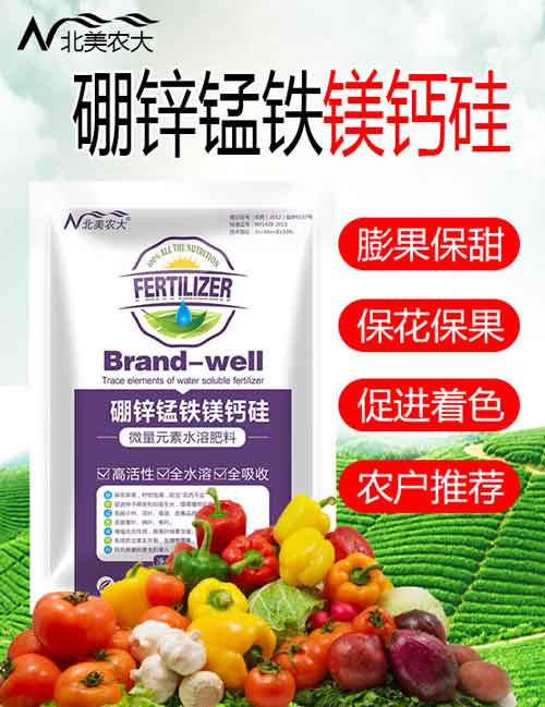 大蔥如何施肥，大蔥的正確施肥原則